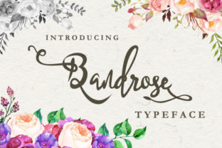 Bandrose Family: A Warm Script Handwritten Typeface for Editorial Design