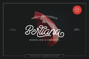 Berliana Script Font for Elegant Handmade Branding