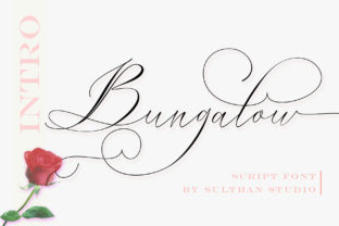 Bungalow Script: A Happy Handwritten Font for Warm Campaigns