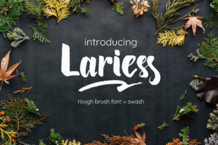 Lariess: A Contemporary Script Handwritten Font for Editorial Design