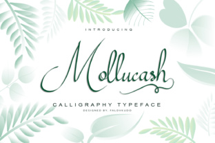 Mollucash: A Hand-Drawn Calligraphy Typeface for Scroll-Stopping Brand Content