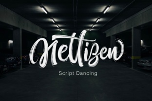 Nettizen Script Handwritten Font for Modern Brand Identity