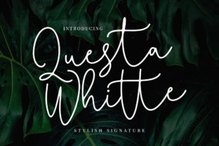 Questa Whitte Script Font for Small Business Branding